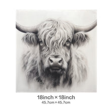 Load image into Gallery viewer, Baha Ranch Black White Highland Velvety Soft Pillow Cover Made in America