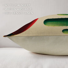 Load image into Gallery viewer, Colores De Mexico La Mexicana Pillow Case Made in America