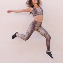Load image into Gallery viewer, Golden Cat Hot Pant