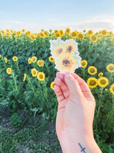 Load image into Gallery viewer, Sunflower Cluster - Sticker