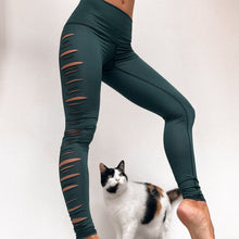 Load image into Gallery viewer, Hunter Green Laser Hot Pant