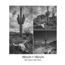 Load image into Gallery viewer, Baha Ranch Black White Desert Velvety Soft Pillow Case Made in America