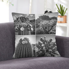 Load image into Gallery viewer, Baha Ranch Black White Cactus Velvety Soft Pillow Case Made in America