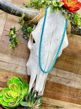 Load image into Gallery viewer, Fort Worth Long Necklace
