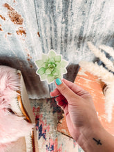 Load image into Gallery viewer, Succulent - Sticker