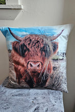 Load image into Gallery viewer, Baha Ranch CUSTOMIZABLE Velvety Soft Memorial Throw Pillow Case Made in America