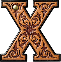 Load image into Gallery viewer, Monogrammed Initial Western Leather Look Saddle Longhorn Cowboy Cowgirl Kitchen Dish Towels Made in America