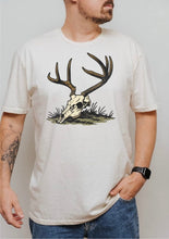 Load image into Gallery viewer, Deer Skull
