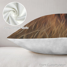 Load image into Gallery viewer, Baha Ranch Beautiful Highland Velvety Soft Pillow Case Cover Made in America

