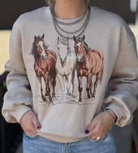 Load image into Gallery viewer, All The Pretty Horses Sweatshirt-MEDIUM
