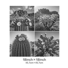 Load image into Gallery viewer, Baha Ranch Black White Cactus Velvety Soft Pillow Case Made in America
