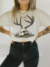 Load image into Gallery viewer, Deer Skull
