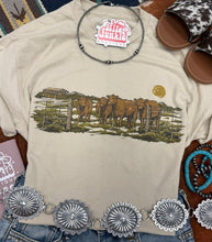 Load image into Gallery viewer, Pasture Red Cattle Graphic Tee
