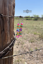 Load image into Gallery viewer, Summertime Earrings
