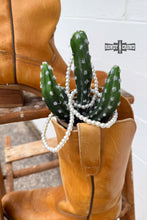 Load image into Gallery viewer, DS Pearly Rodeo Bracelet
