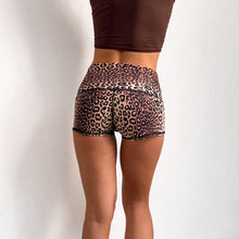 Load image into Gallery viewer, Golden Cat Sun Shorts
