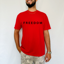 Load image into Gallery viewer, FREEDOM tee or crewneck
