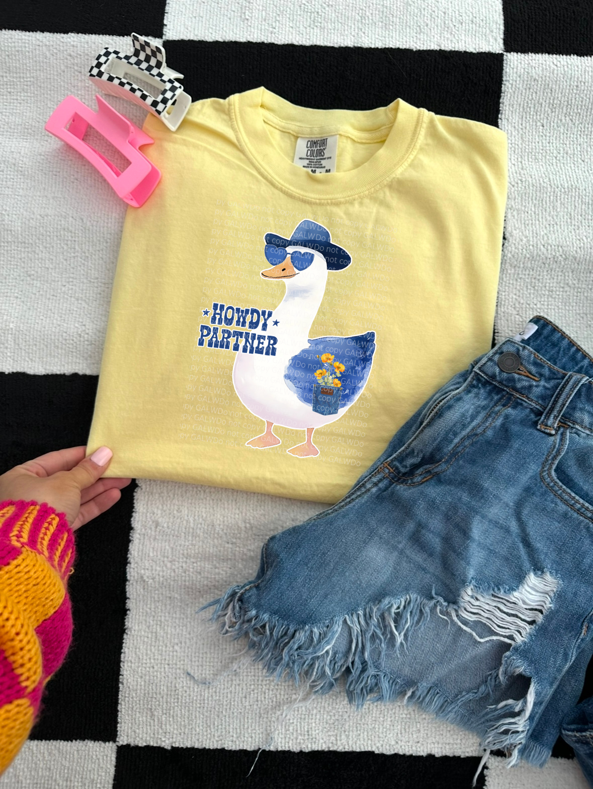 Howdy partner goose tee or sweatshirt