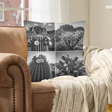 Load image into Gallery viewer, Baha Ranch Black White Cactus Velvety Soft Pillow Case Made in America
