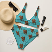 Load image into Gallery viewer, Yeehaw Saddle Up Bikini
