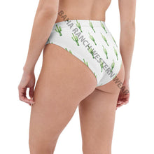 Load image into Gallery viewer, Yeehaw Cactus Bikini Bottom
