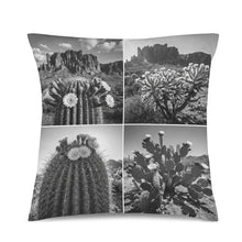 Load image into Gallery viewer, Baha Ranch Black White Cactus Velvety Soft Pillow Case Made in America
