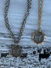 Load image into Gallery viewer, Silver Horse Coin Double Chain Necklace
