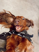 Load image into Gallery viewer, The Western Vogue Mini Wild Rag

