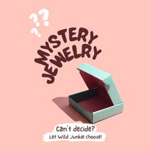 Load image into Gallery viewer, Mystery Jewelry Bundle
