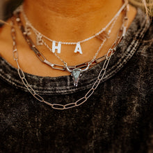 Load image into Gallery viewer, Turquoise Stone Steer Necklace
